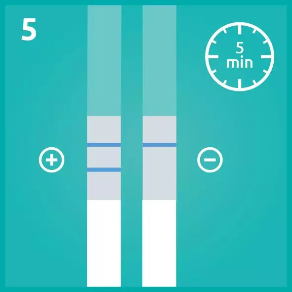 actim PROM 1 test biog.sk